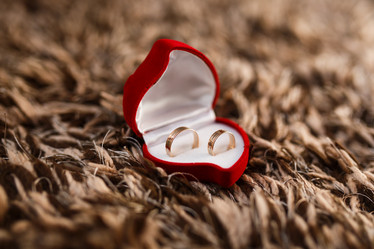 Similar image 11855337