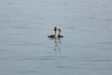 Similar image 11855319