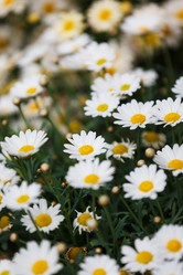 Similar image 11855322