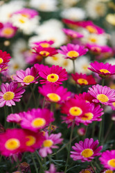 Similar image 11855323