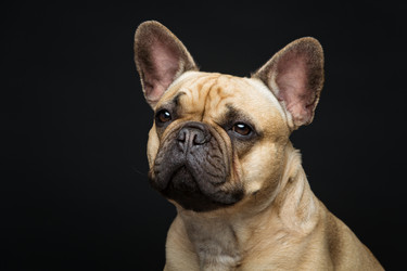 Similar image 11863233