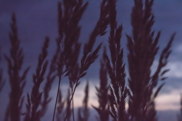 Similar image 11862744