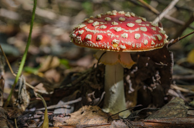 Similar image 11862456