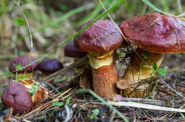 Similar image 11862457