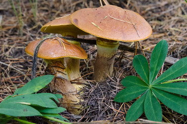 Similar image 11862458