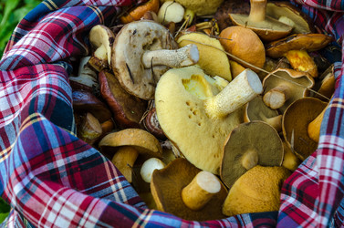 Similar image 11862459