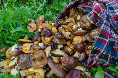 Similar image 11862461