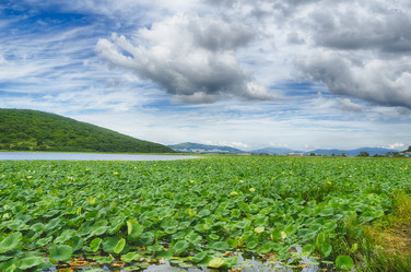 Similar image 11872199