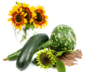 Similar image 11872236