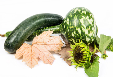 Similar image 11872237