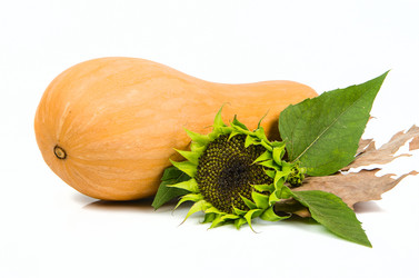 Similar image 11872238