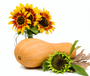 Similar image 11872239