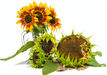 Similar image 11872241