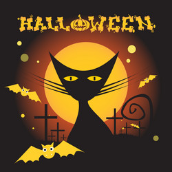 Similar image 11855245