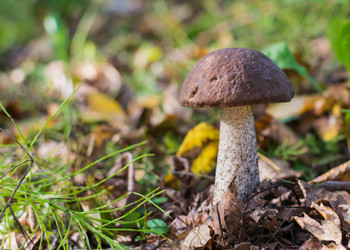 Similar image 11862462