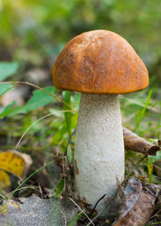 Similar image 11862463