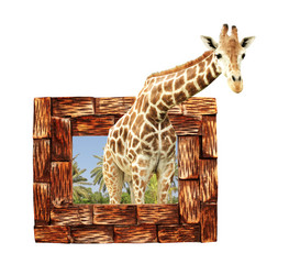 Similar image 11872287