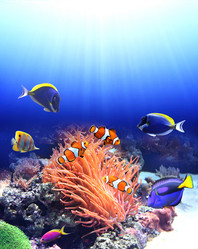 Similar image 11872288