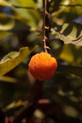 Similar image 11862815