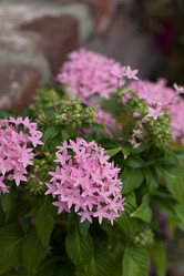 Similar image 11865111