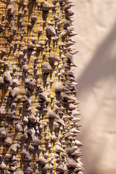 Similar image 11861743