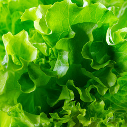 Similar image 11862484