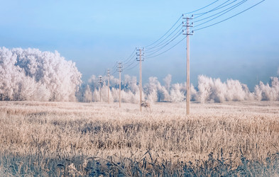 Similar image 11865150