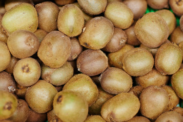 Similar image 11855656