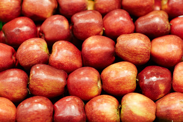 Similar image 11855663