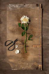 Similar image 11859119