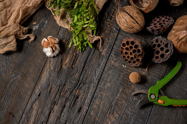 Similar image 11859126