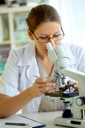 Similar image 11855927