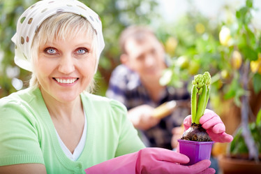 Similar image 11855931