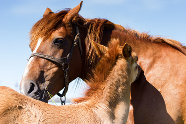 Similar image 11858634