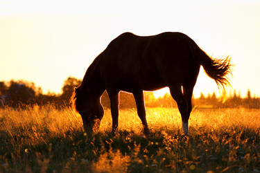 Similar image 11862466