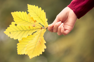 Similar image 11858530