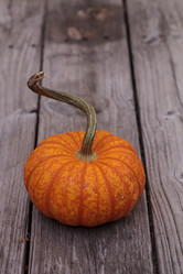 Similar image 11862582