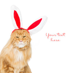 Similar image 11863303