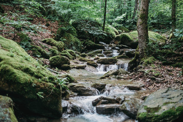 Similar image 11868013