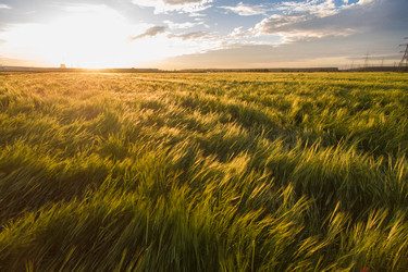 Similar image 11877744