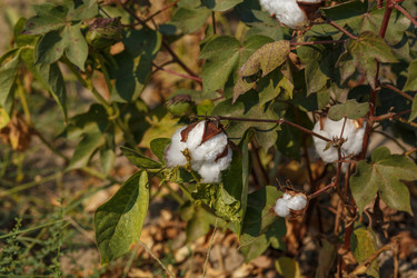 Similar image 11862342