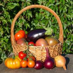 Similar image 11865991