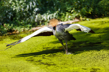 Similar image 11862878