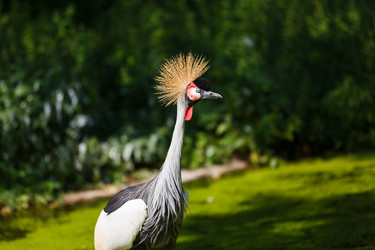 Similar image 11862879