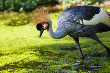 Similar image 11862881