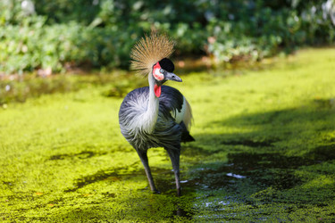 Similar image 11862882