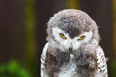 Similar image 11862870