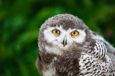 Similar image 11862872