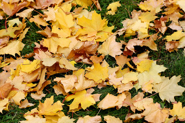 Similar image 11864985