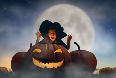 Similar image 11862928